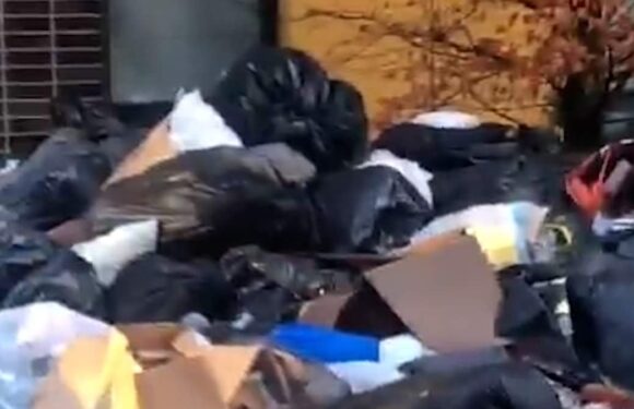 Sea of rubbish bags outside student house spark fears of rinfestation