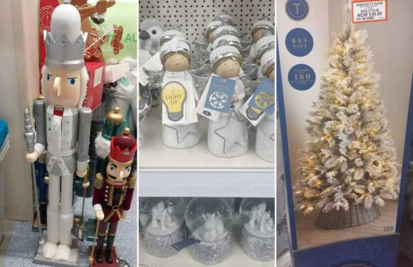 Shoppers are already preparing for Christmas next year as B&M slashes items to cost mere pennies | The Sun