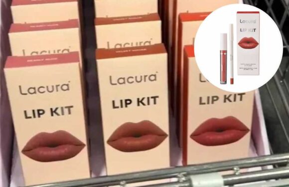 Shoppers racing to fill their trolley with Kylie Jenner lip kit dupes from Aldi – and they're £24 cheaper | The Sun