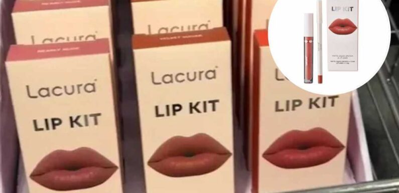 Shoppers racing to fill their trolley with Kylie Jenner lip kit dupes from Aldi – and they're £24 cheaper | The Sun