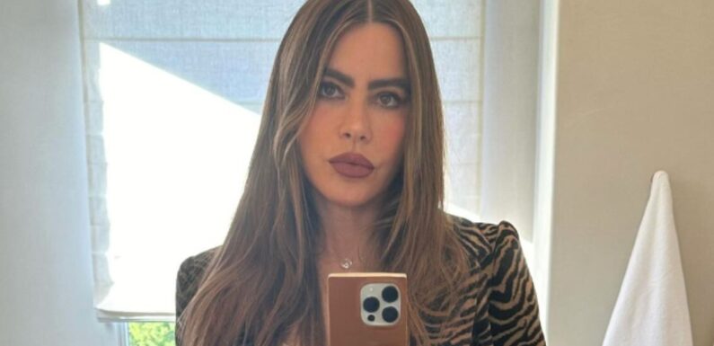 Sofia Vergara wows in leopard print as her ex goes public with new girlfriend
