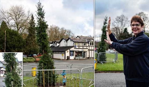 Stockport residents say town's wonky Christmas tree is 'worst in UK'