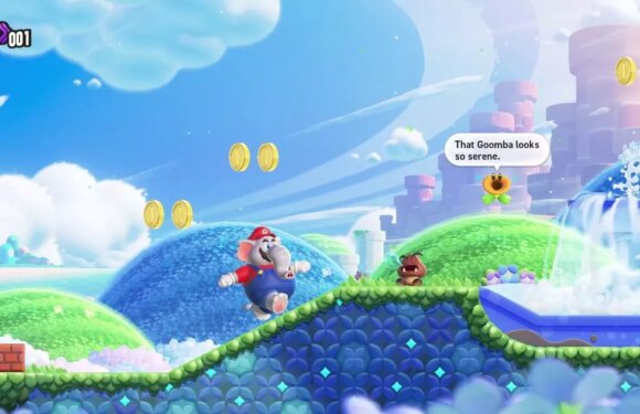 Super Mario Bros Wonder on Switch sees the hero plumber turn into an elephant