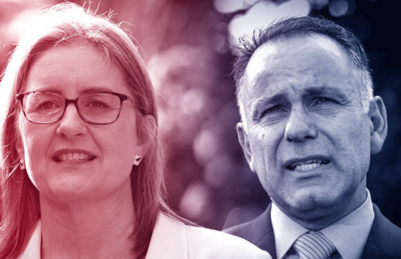 Support for Allan dips, but Labor holds strong lead over Coalition