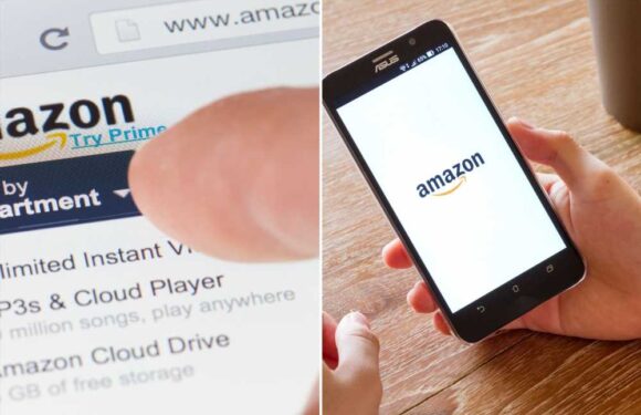 The little known Amazon hack that will save you hundreds with one click | The Sun