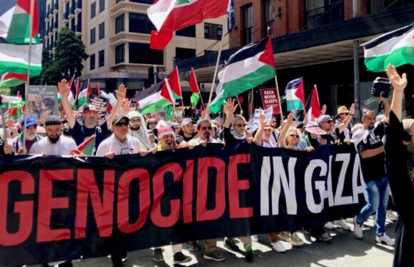 Thousands gather for first pro-Palestinian rally since fighting resumed