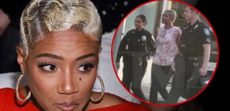 Tiffany Haddish Pleads Not Guilty to DUI in Los Angeles