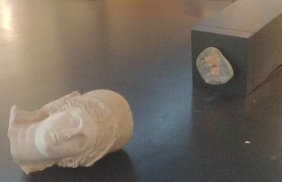 US man, 40, who smashed statues in Israeli museum is cleared in court