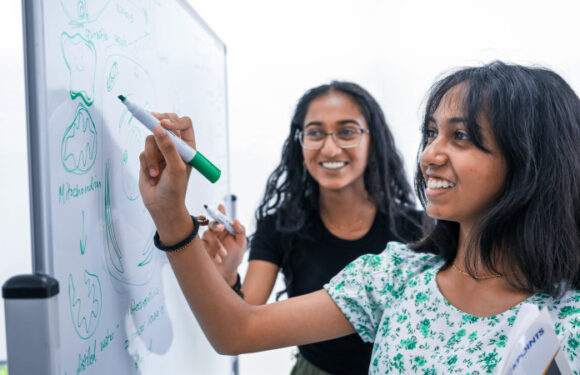 When school’s out, tutoring’s in: Students sign up for after-hours study to get ahead