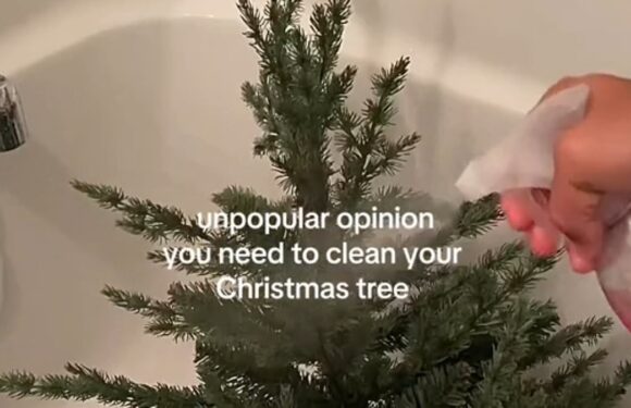 Woman sparks debate after revealing she deep cleans her Christmas tree