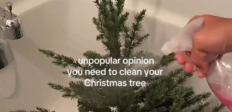 Woman sparks debate after revealing she deep cleans her Christmas tree
