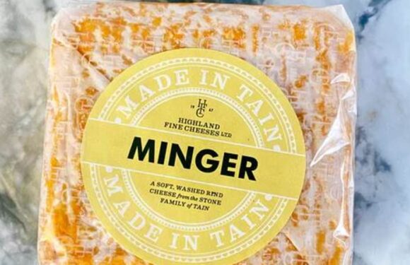 World's 'smelliest cheese', aptly called the Minger, goes on sale