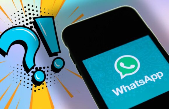 You can now send disappearing voice messages on WhatsApp