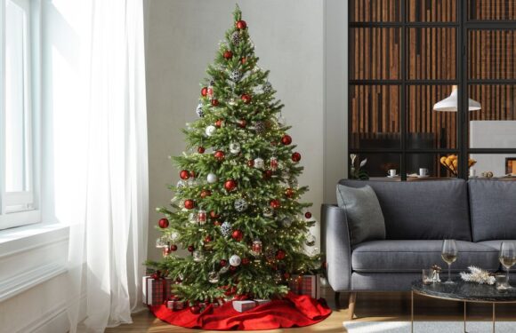 Youre putting your Christmas tree in the wrong place – its boosting your bills