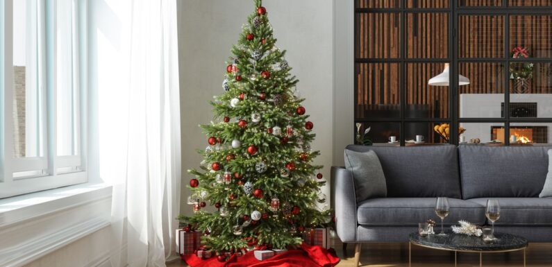 Youre putting your Christmas tree in the wrong place – its boosting your bills