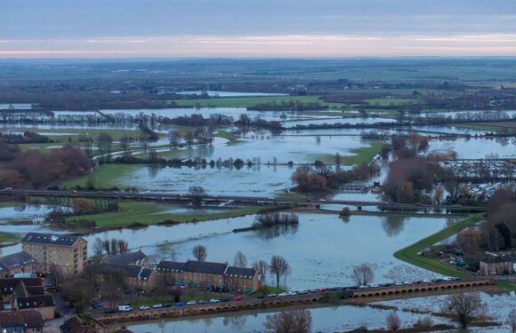 'Little sign' of White Christmas as temperatures hit 13C this weekend