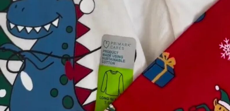 'Budgeting mum' shares 'genius' Primark hack that saves you a fortune on children’s Christmas pyjamas | The Sun