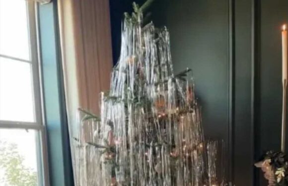 ‘They look like Xmas vomit’ people slam as ‘The Tinsel Tree’ makes a comeback – so would you do it to be on trend? | The Sun